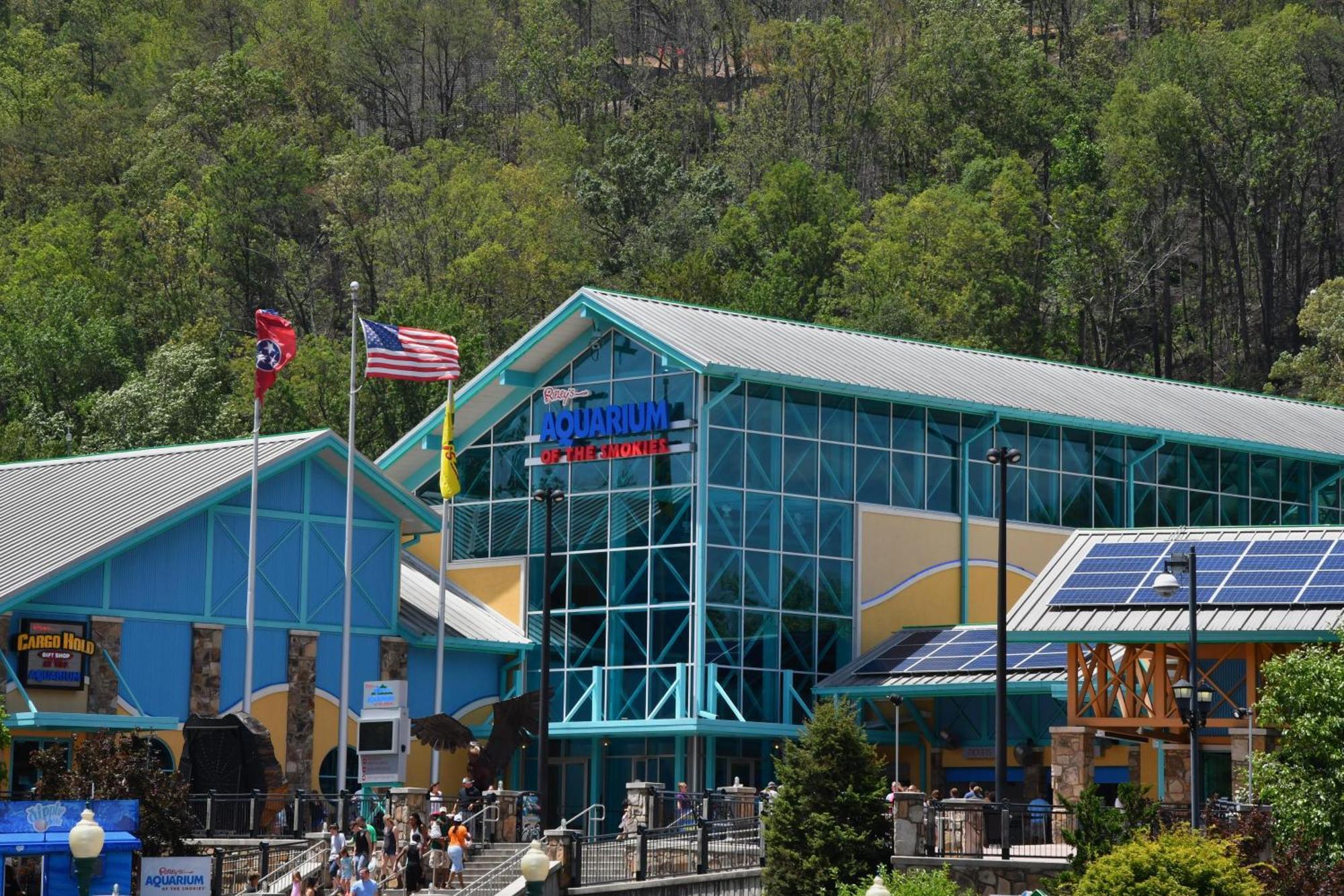 Wild Thing #1525 Βίλα Gatlinburg Εξωτερικό φωτογραφία
