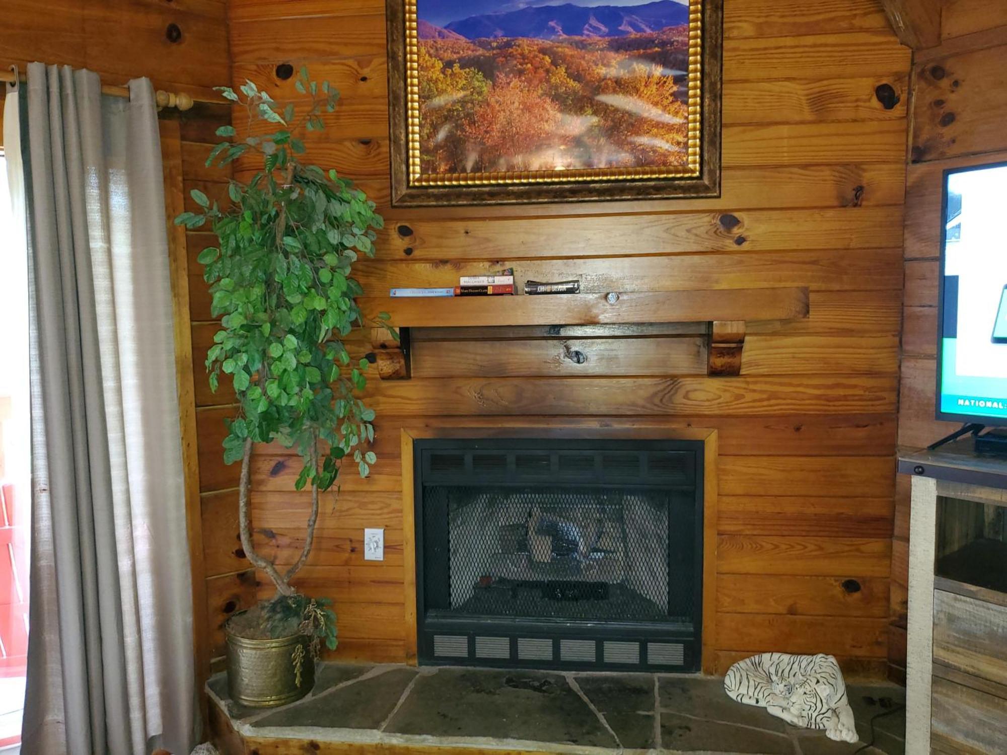 Wild Thing #1525 Βίλα Gatlinburg Εξωτερικό φωτογραφία